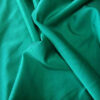 Emerald Lycra