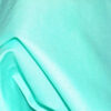 Mint Green Lycra