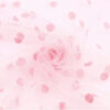 Pink Dots