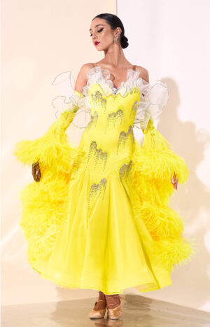 Ballroom Dress Solange
