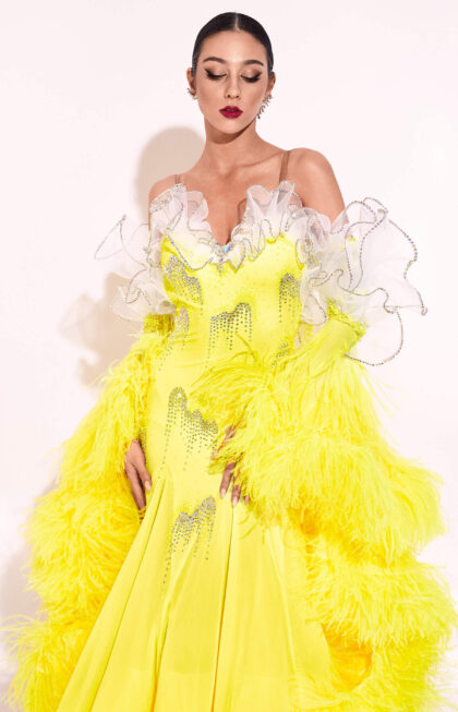 Solange_Ballroom_2
