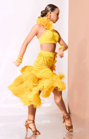 Junior Latin Dress Tweety