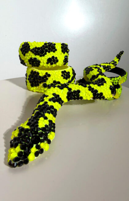 Cobra_crystal-acessory_1